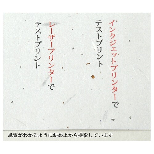 206030405 大礼紙 B5 20枚