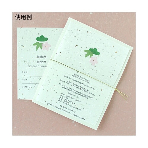 206030405 大礼紙 B5 20枚