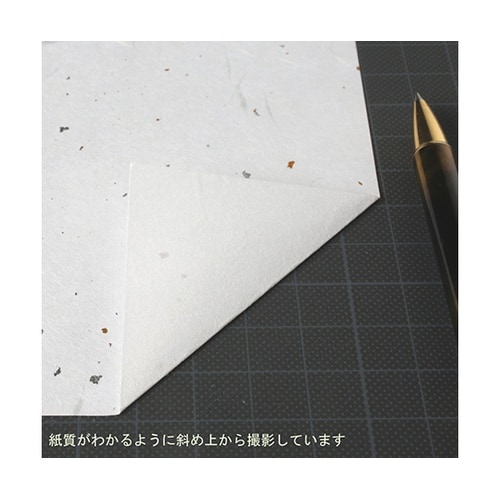 206050190 大礼紙 B4 20枚