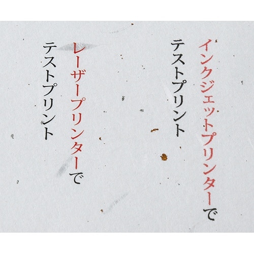 206050190 大礼紙 B4 20枚