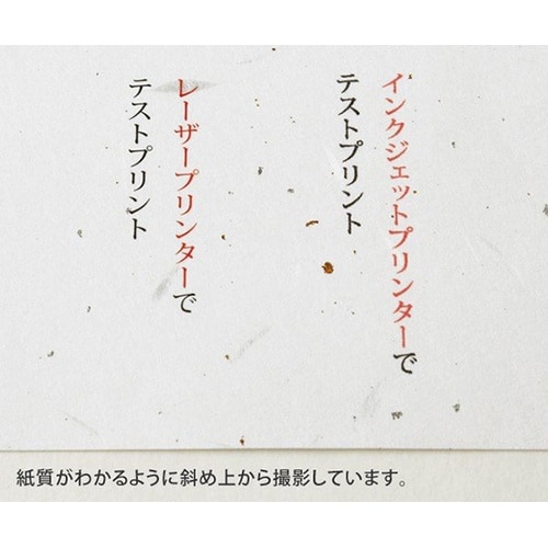 205003107 大礼紙A4用封筒5枚