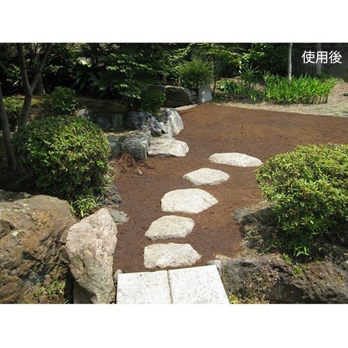 アプローチモス