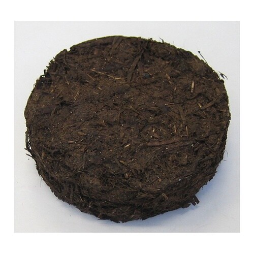 アプローチモス