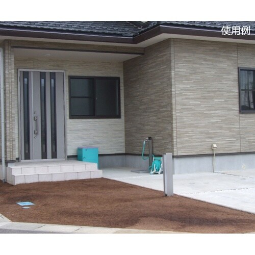 アプローチモス