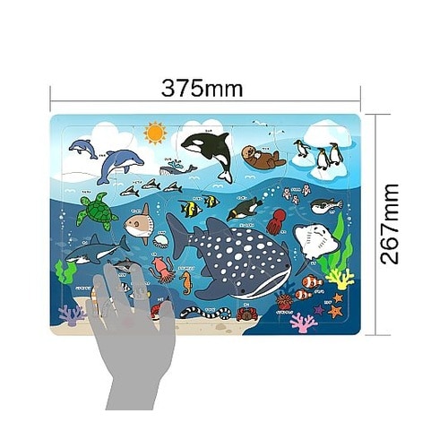 海のいきものパズル 3124