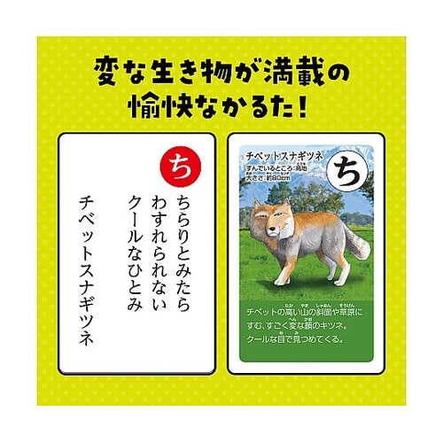 変ないきものかるた 3568