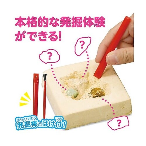 ドキドキ!宝石の原石発掘体験 56908
