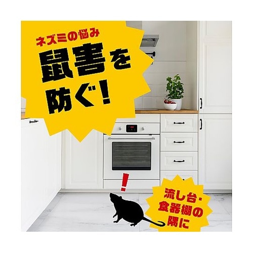 アース 強力デスモア 固型 1箱(4セッ