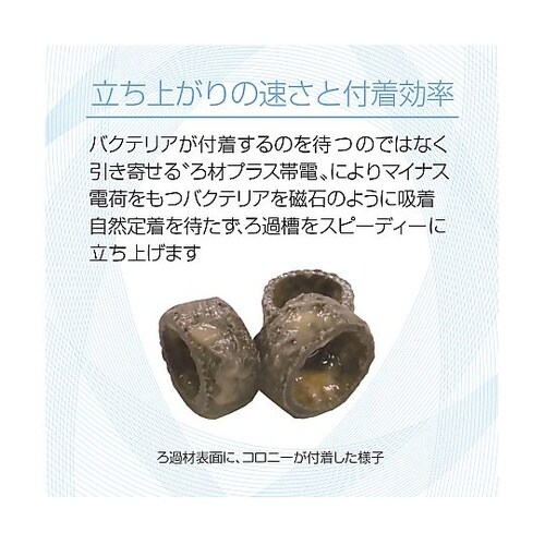 水槽用濾過材バクテリアホールドS 50L