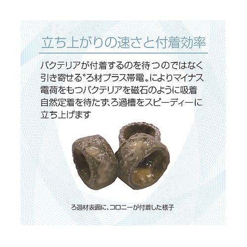 水槽用濾過材バクテリアホールドL 50L