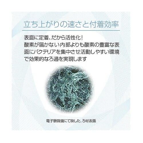 水槽用濾過材バクテリアホールドL 50L