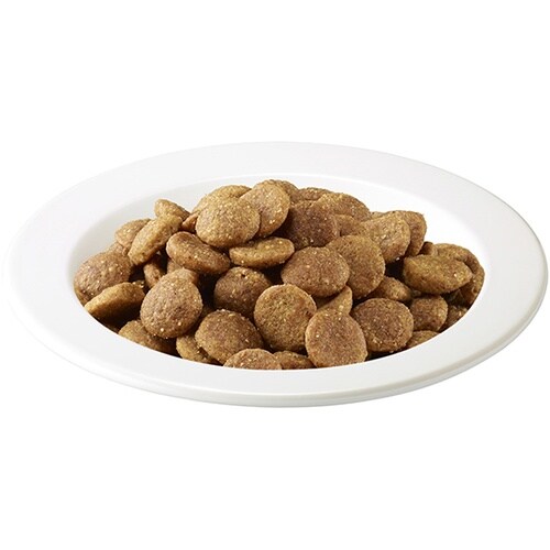 IC224 アイムス 成猫用まぐろ味