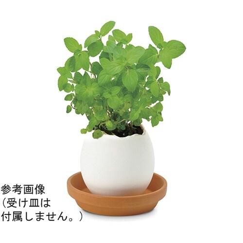 EG−5701 エッグリング ミント