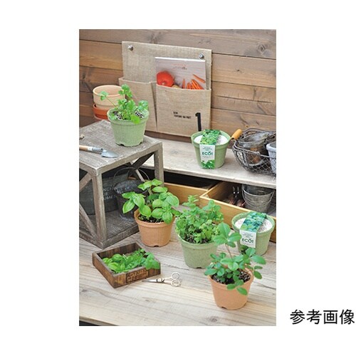 GD−41001 エコット S ミント