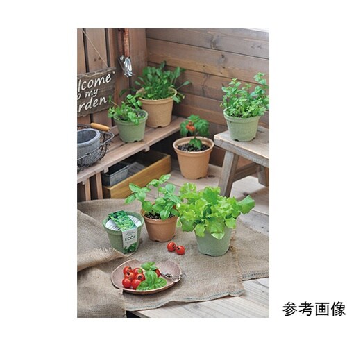 GD−41001 エコット S ミント