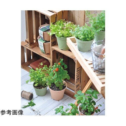 GD−41002 エコット S バジル