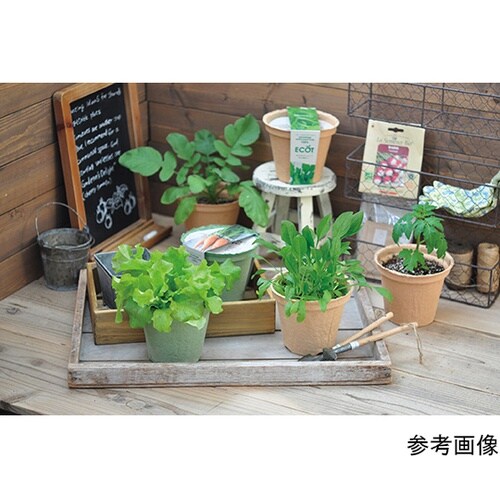 GD−41103 エコットMラディッシュ