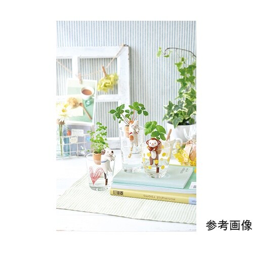 GD−66002しっぽんネコストロベリー