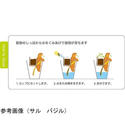 GD−66002しっぽんネコストロベリー