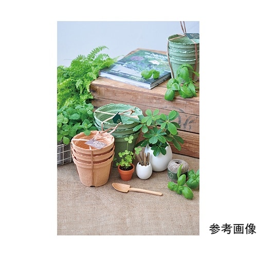 T−34 エッグプランター(S)