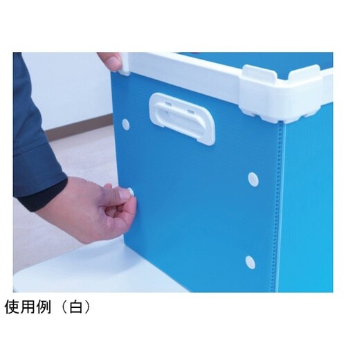 631661004WH パンロック 白
