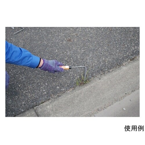 DK689L 磯次郎 コンコン鎌左利き用