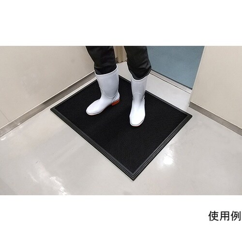 サニトラックス 45cm×61cm N3