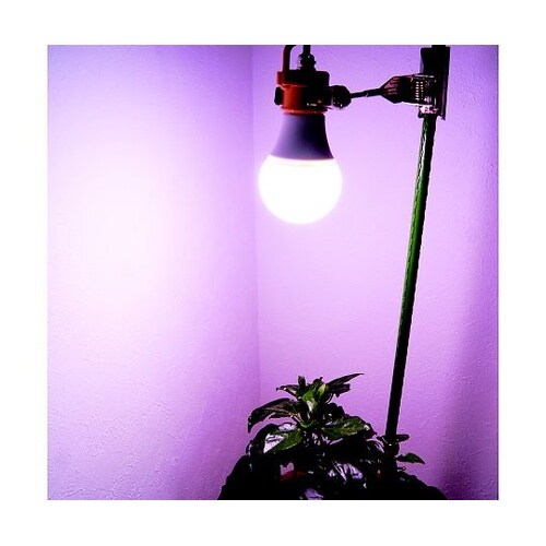 KY−08W−SC クリップランプ 8W