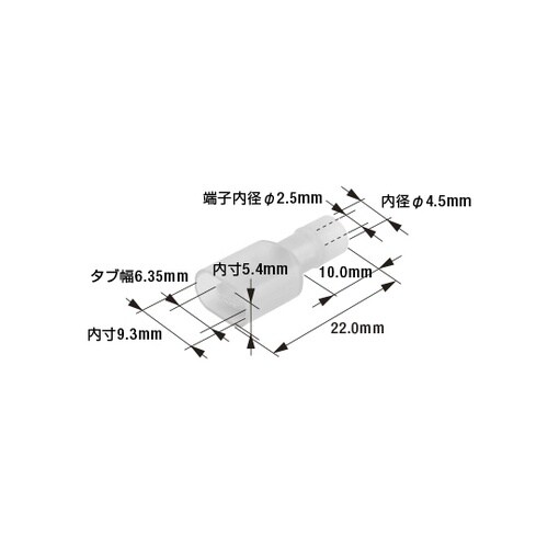 A147L 250ファストンプラグ