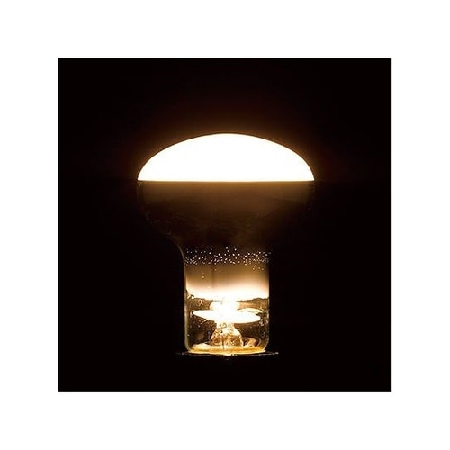 RF100110V57WL 電球60W形