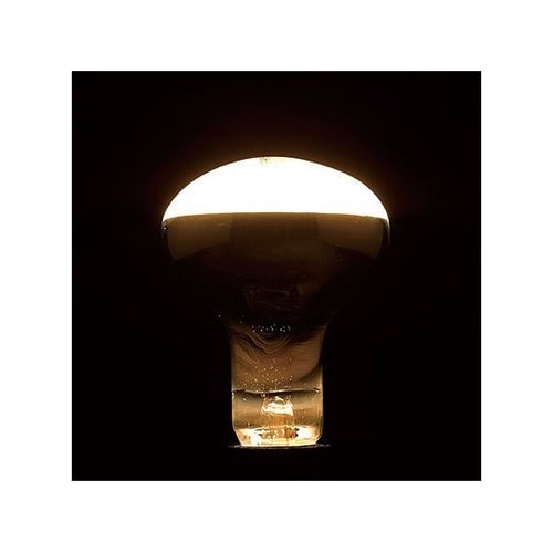 RF100110V90WL 電球100W