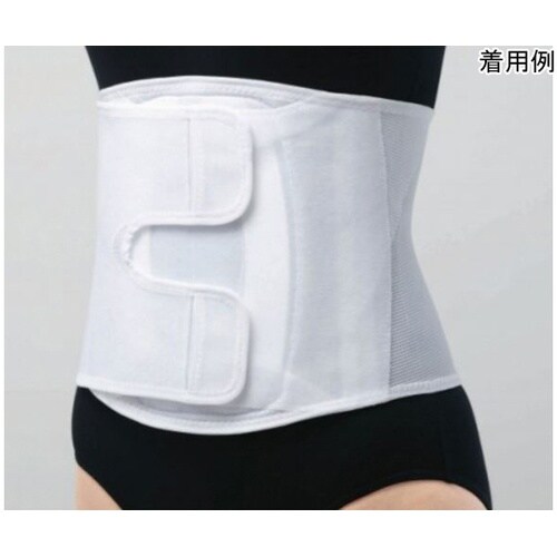 324604 腰部固定帯 FR LL