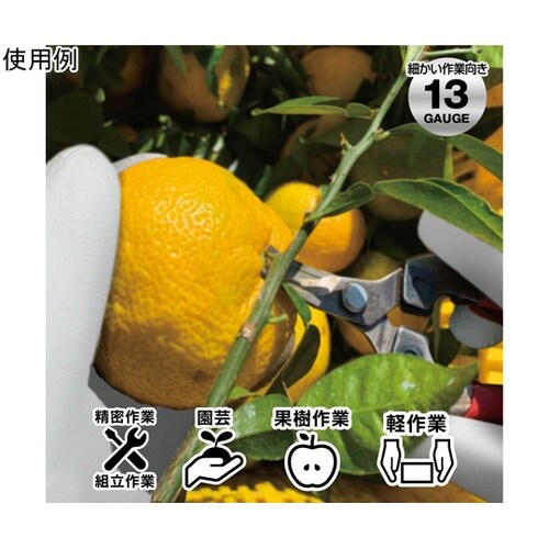UF−10−WH−S グローブ 10双組