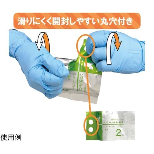 030133 ソフラフィックスキャスト2