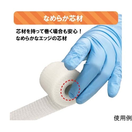 030133 ソフラフィックスキャスト2