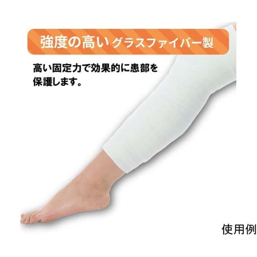 030133 ソフラフィックスキャスト2