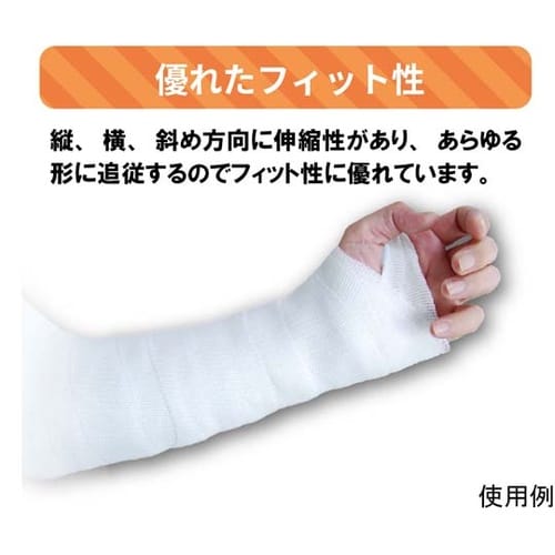 030133 ソフラフィックスキャスト2