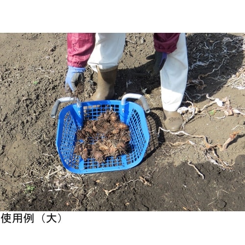 葉っとりくん みの(網目大) MB−1