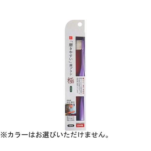 磨きやすい歯ブラシ極 ふつう LT−51