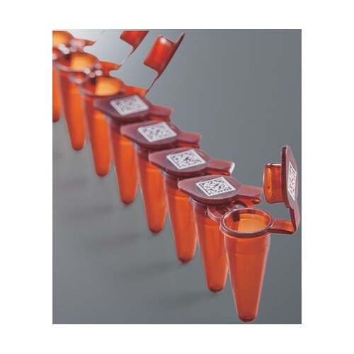 微量保存用8連チューブ 0.1mLアンバ