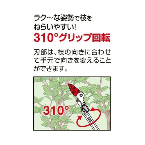 ズームチョキエコノ 採集型2m 160Z