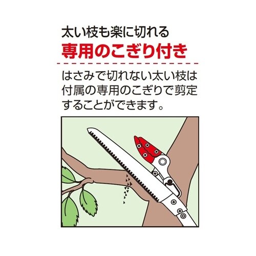 ズームチョキエコノ 採集型2m 160Z