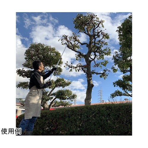 ズームチョキエコノ 採集型2m 160Z