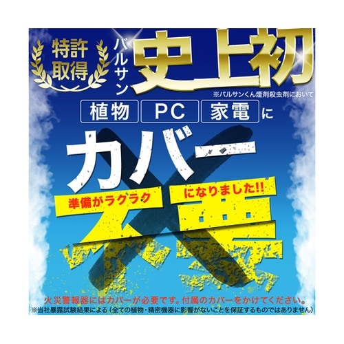 ラクラクバルサン 火を使わない水 6g×