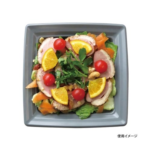 惣菜容器 CT沙楽 K20−20 NGR