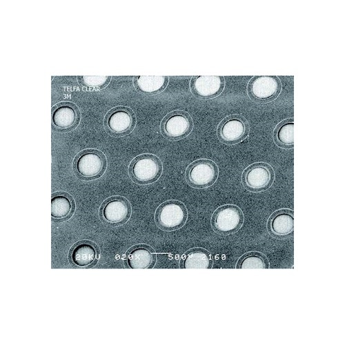 テルファ サージカルパッド 1箱(50枚