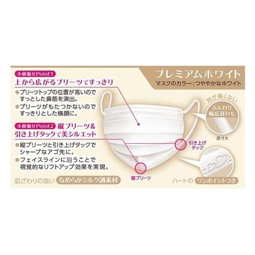 ビースタイル プリーツタイプ ふつうサイ