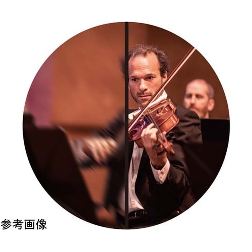 防振双眼鏡 シリウス14