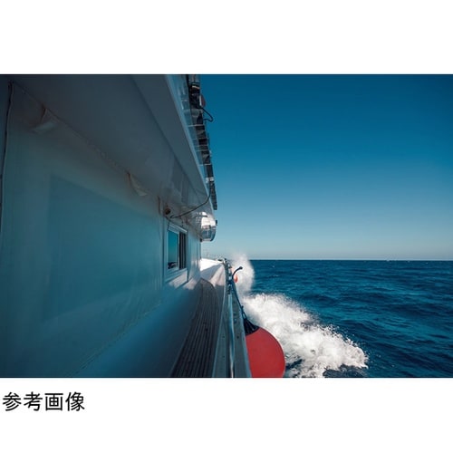 防振双眼鏡 シリウス14