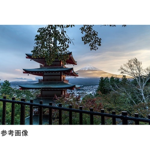 防振双眼鏡 シリウス14